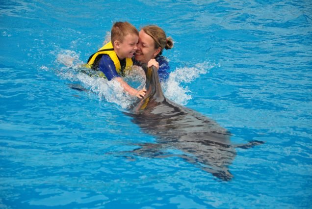 Swimming with Dolphins in Sharm el Sheikh