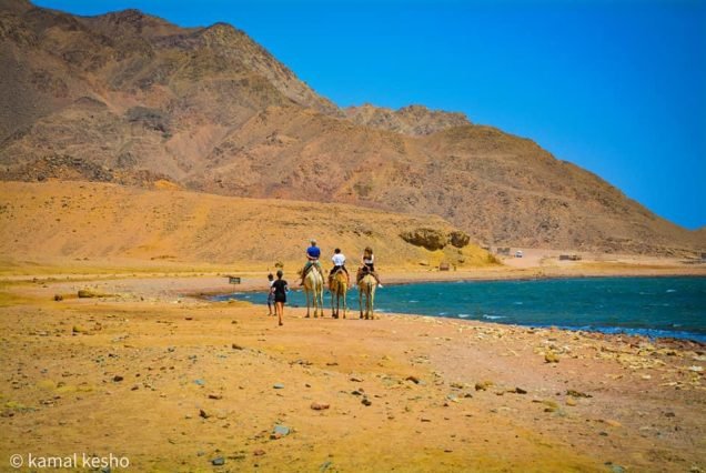 Dahab City Safari Excursion, Snorkeling